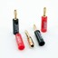 gold plated bana plugs Taga-harmony